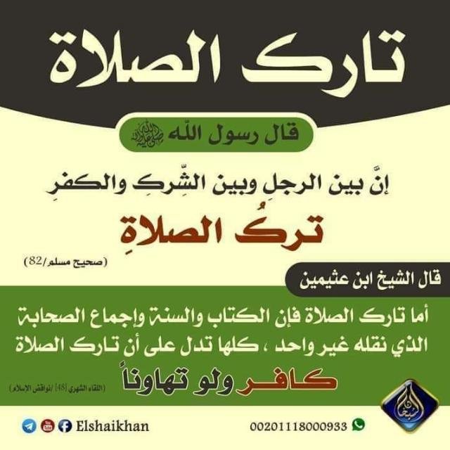 تأهيل سند 5 دورة تأهيلية برواية حفص عن عاصم✅