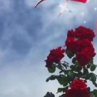 📚🌹حلقات تاج الوقار ( 1)🌹📚