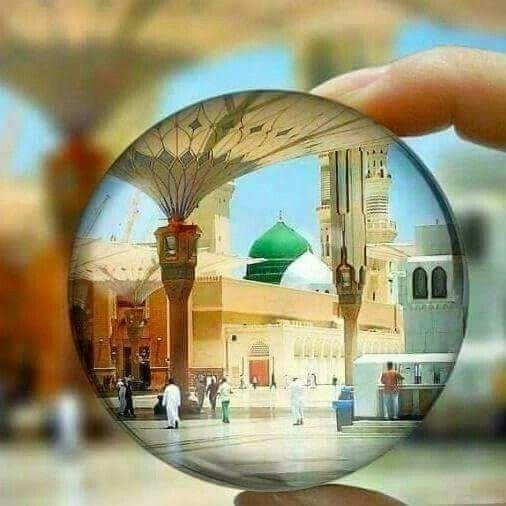 Tilawat_Zone Online Quran Class with Translation