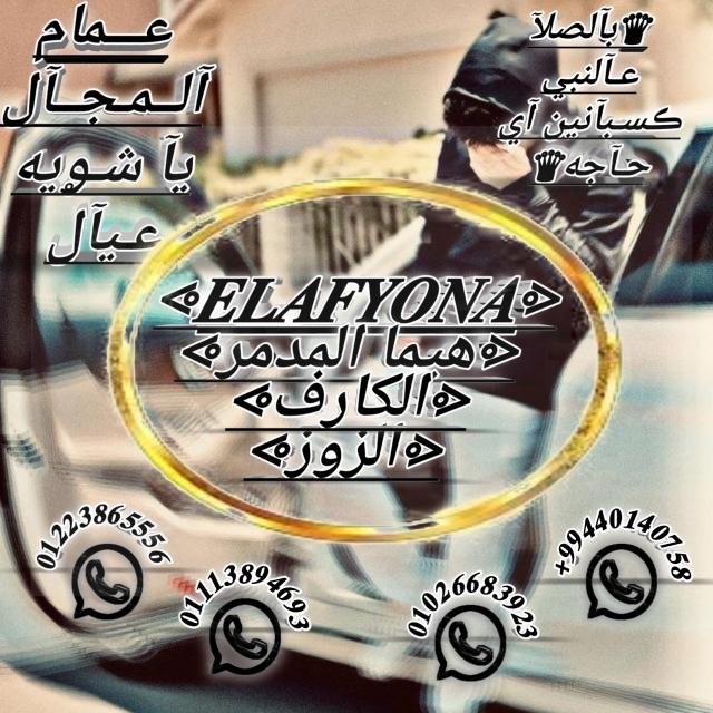 بآࢪ̸ آفــرآآد مؤآآسسيـن آللعبــة 💔🦂