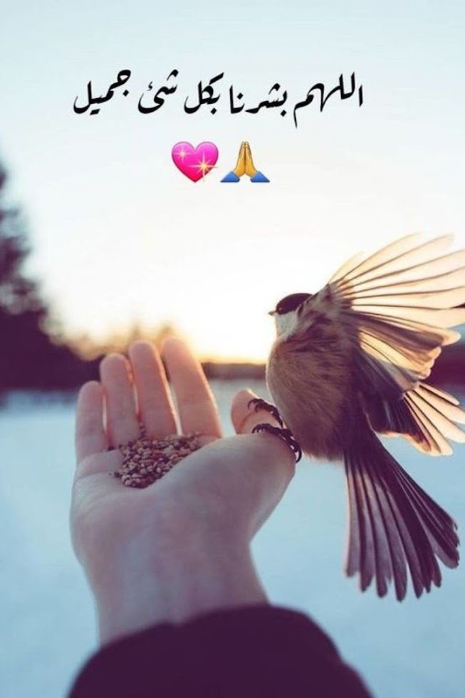 رغي ودردشة مع كامل الاحترام ❤️❤️👑