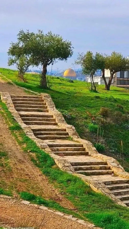🥰قروب الأصدقاء (متصلين على مدار اساعه)